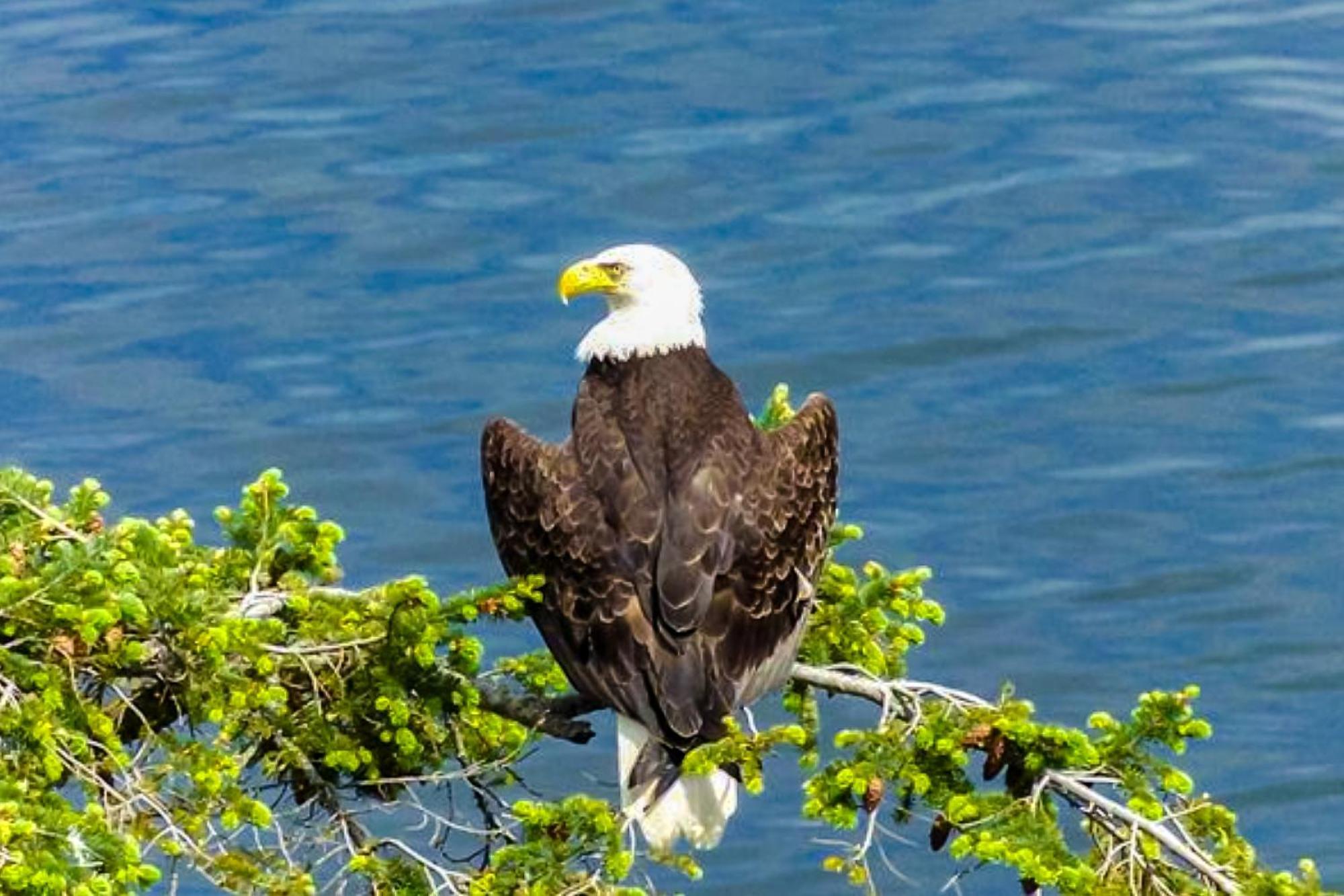 Eagles' Oceanview Villa ซีควิม ภายนอก รูปภาพ